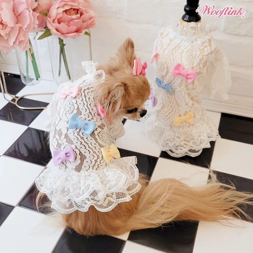 sweet babe white lace dress