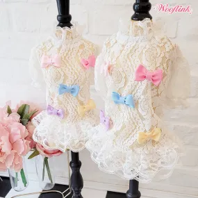 sweet babe white lace dress