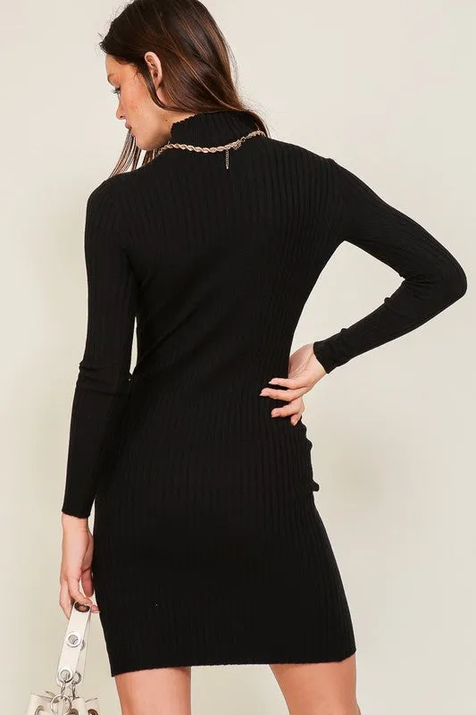 Turtle Neck Sweater Bodycon Dress